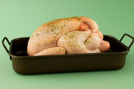 Die schreckliche Wahrheit über Hühner